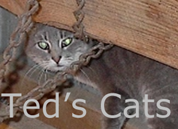 Ted's Cats