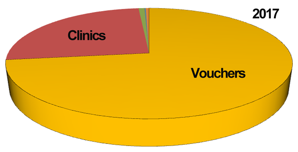 Expenditure Chart 2017