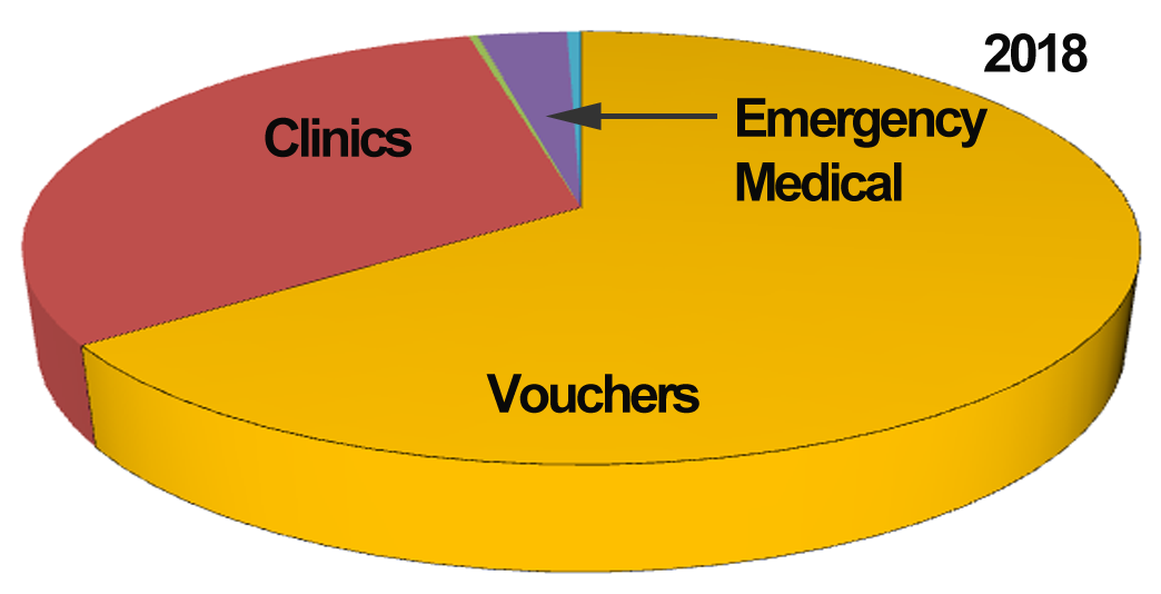 Expenditure Chart 2018