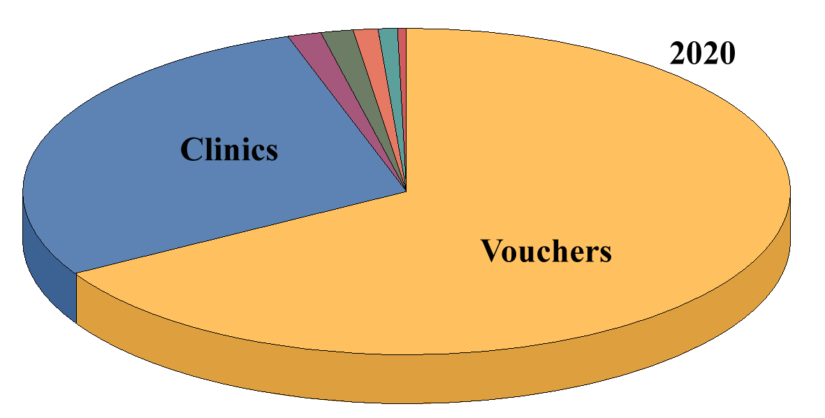 Expenditure Chart 2020