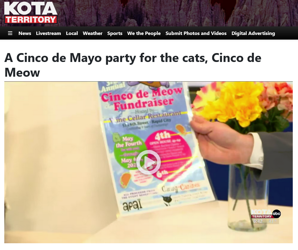 kota article on Cinco de Meow