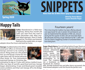 Snippets Vol 5