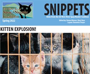 Snippets Vol 6