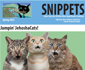 Snippets Vol 7